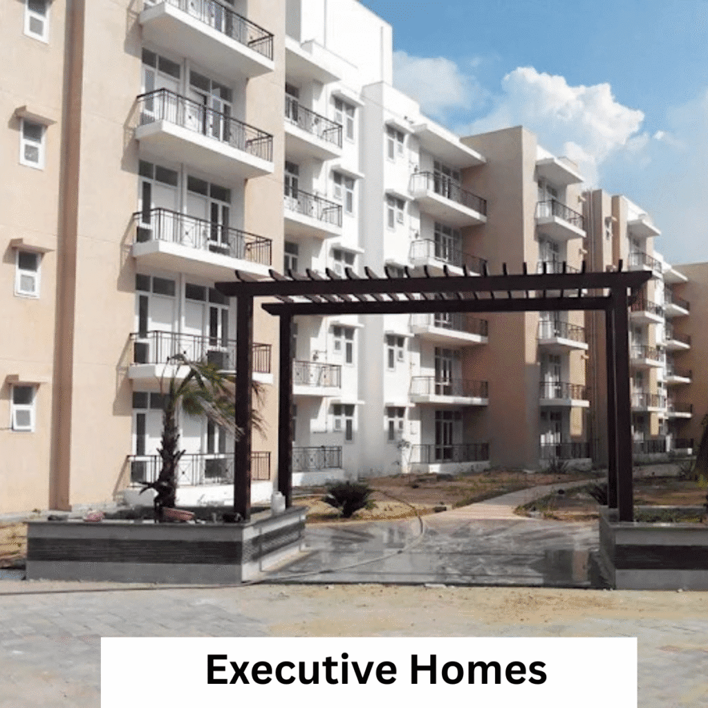Executive Homes Omaxe City resale deal